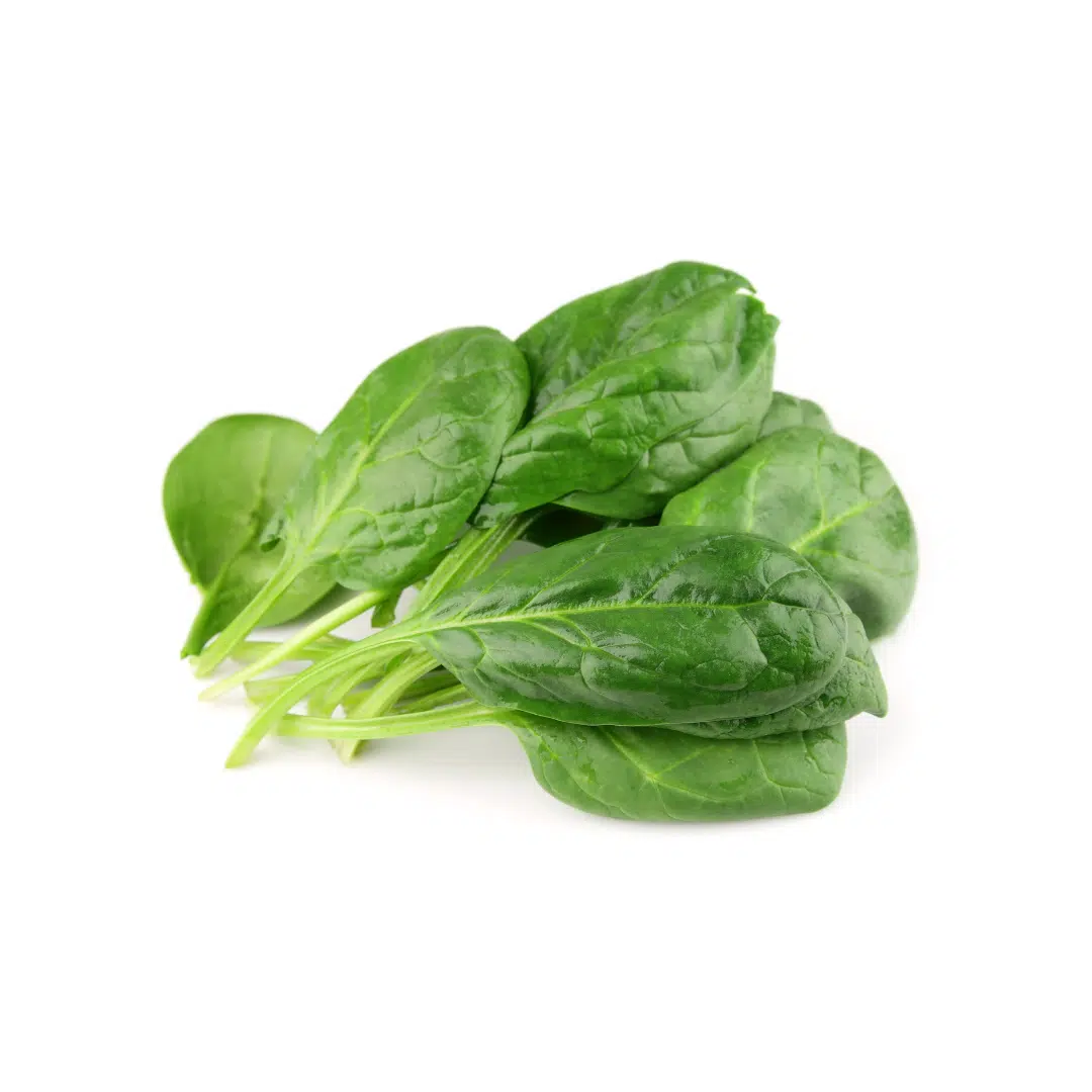 Leaf Spinach