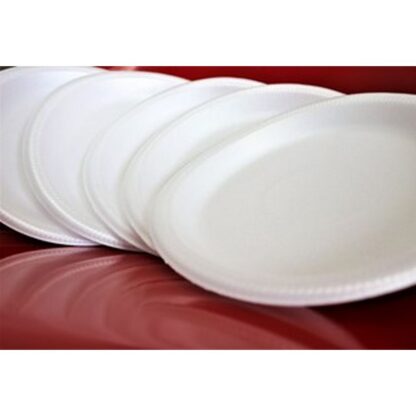foam plates